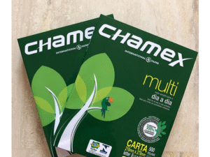 Chamex A4 Paper