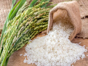 Rice