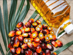 Top Grade REFINED PALM OIL