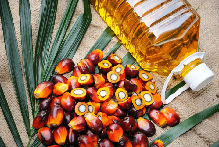 Top Grade REFINED PALM OIL