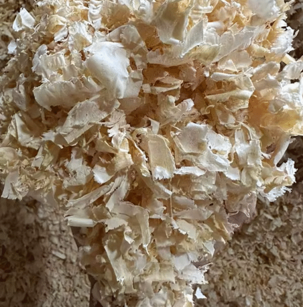Multi-Purpose Wood Chips Your Partner for Outdoor Activities