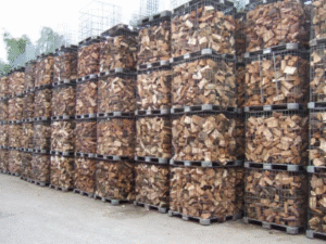 Beech Firewood