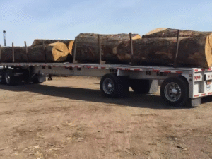 White Oak Sawn Logs