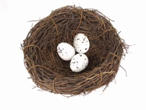Quail Eggs