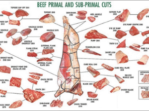 Beef Meat
