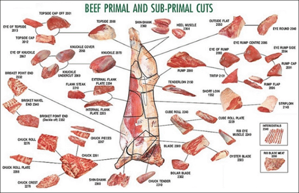 Beef Meat