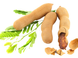 Tamarind Block