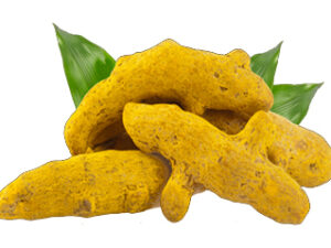 Turmeric Finger