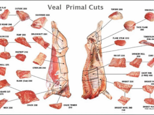 VEAL MEAT