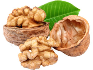 walnut